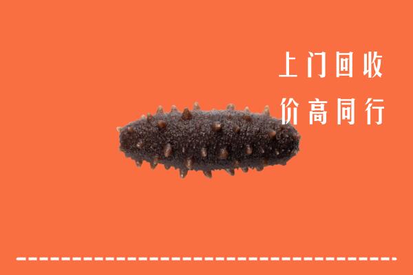 高价求购：南岳区回收海参